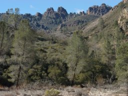 California2007-2008-013